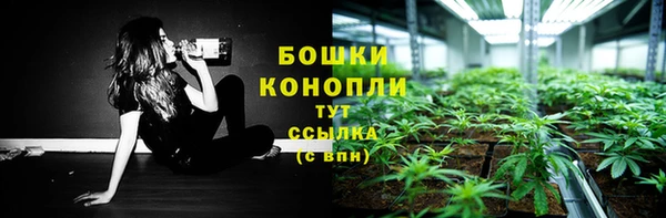 соль ск Абаза