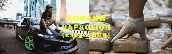 прущие грибы Саяногорск