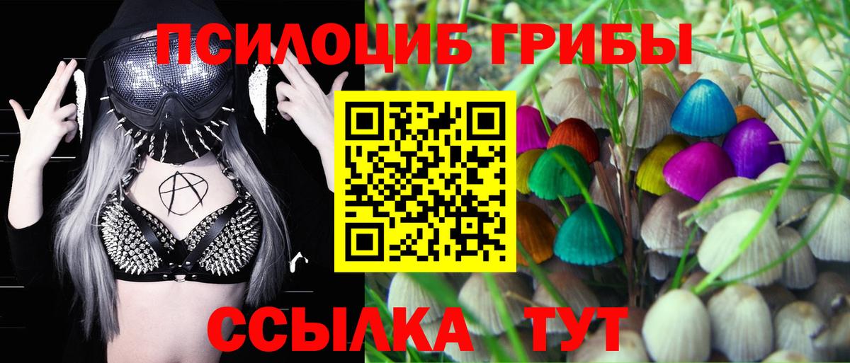 Галлюциногенные грибы ЛСД  Псилоцибиновые грибы мицелий  Вход с VPN  Тула 