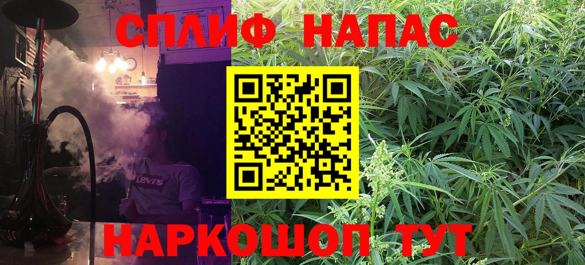 Конопля индика Тула